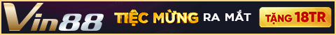 banner vin88